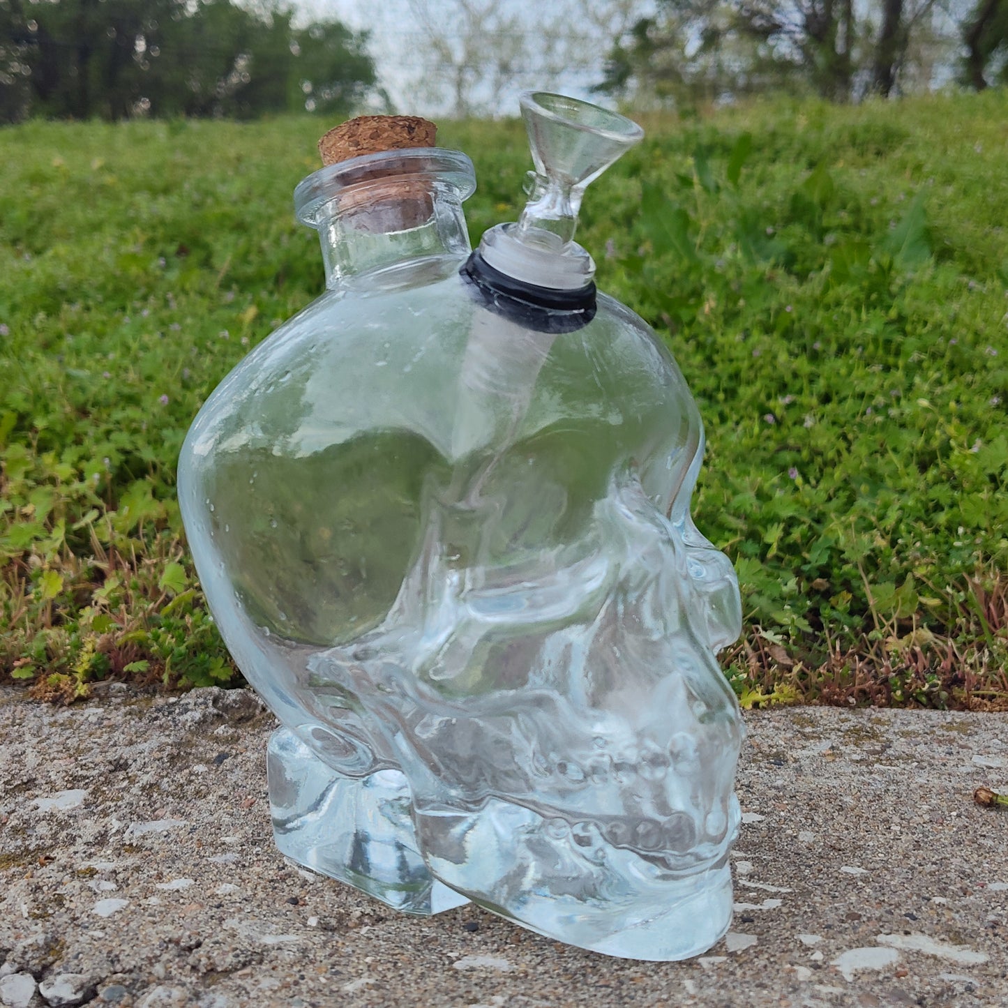 Skull Water Bong